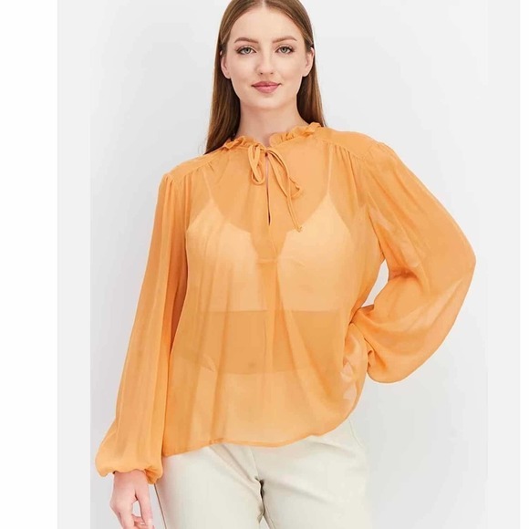 Joie The Jindrah Silk Long Sleeve Sheer Top Buckskin Size Medium - Picture 2 of 13